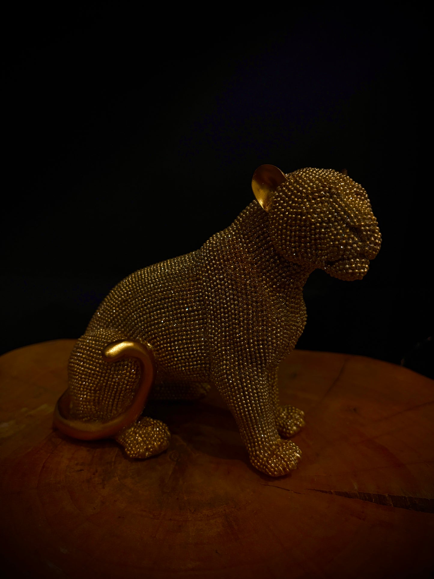 Golden Panther – Sitting Pose